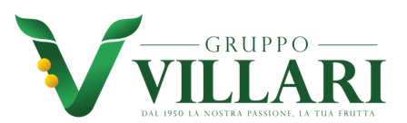 Villari srl