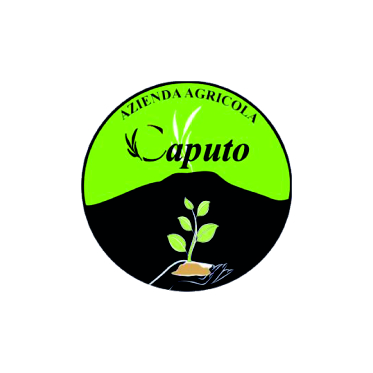caputo