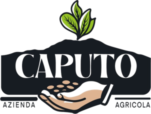 caputo