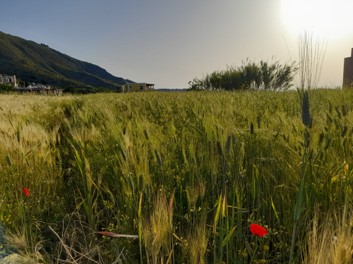 macina